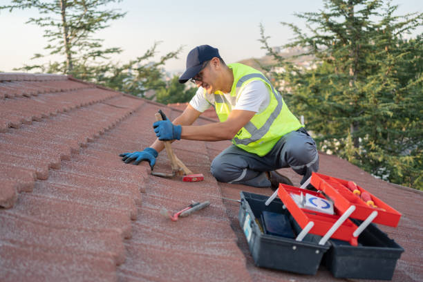 Best Commercial Roofing Services  in La Cienega, NM