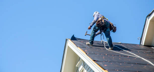 Best Roof Gutter Cleaning  in La Cienega, NM
